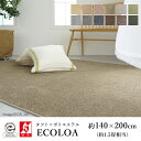 ラグ ラグマット カーペット ECOLOA エコロア/約140×200cm(約1.5畳相当) ECO 消臭 防汚 静電気防止 防炎 床暖房対応 ホットカーペット対応 カラフル 日本製 国産 春 夏 オールシーズン