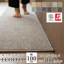 マット キッチンマット 廊下敷き オーダーサイズ【10cm単位/幅100cm×長さ260〜300cmまで】 ECOLOA エコロア ECO 消臭 防汚 静電気防...