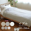 【デザイン限定★10％OFF】 イブル 