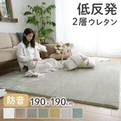 https://thumbnail.image.rakuten.co.jp/@0_mall/limelime-store/cabinet/toshi/exfores-mb02.jpg