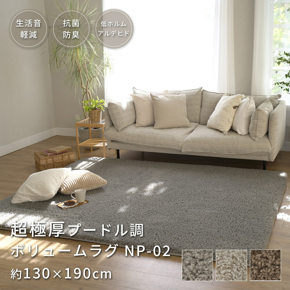 【6,000円以上500円OFFクーポン★4/10限定】ラグ ラグマット 超極厚 60mm プードル調 130×190cm 1.5畳 ボリューム シャギー カーペット 韓国風 北欧 おしゃれ 厚手 抗菌 防ダニ 防臭 低ホルム 防音 床暖房対応 絨毯 じゅうたん NP-02のサムネイル