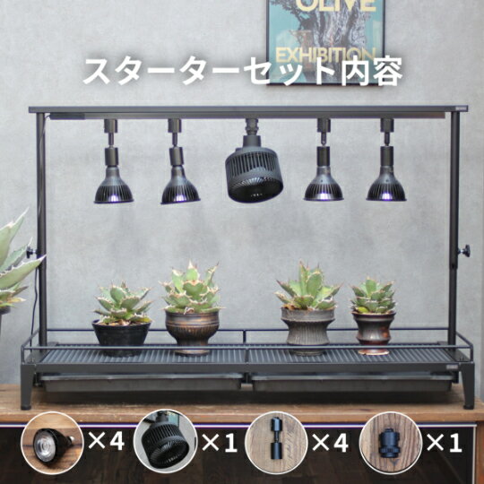 水受けトレー付き1段植物棚スターターセット　水受けトレー付1段植物棚　植物棚 アガベ 塊根植物 観葉..
