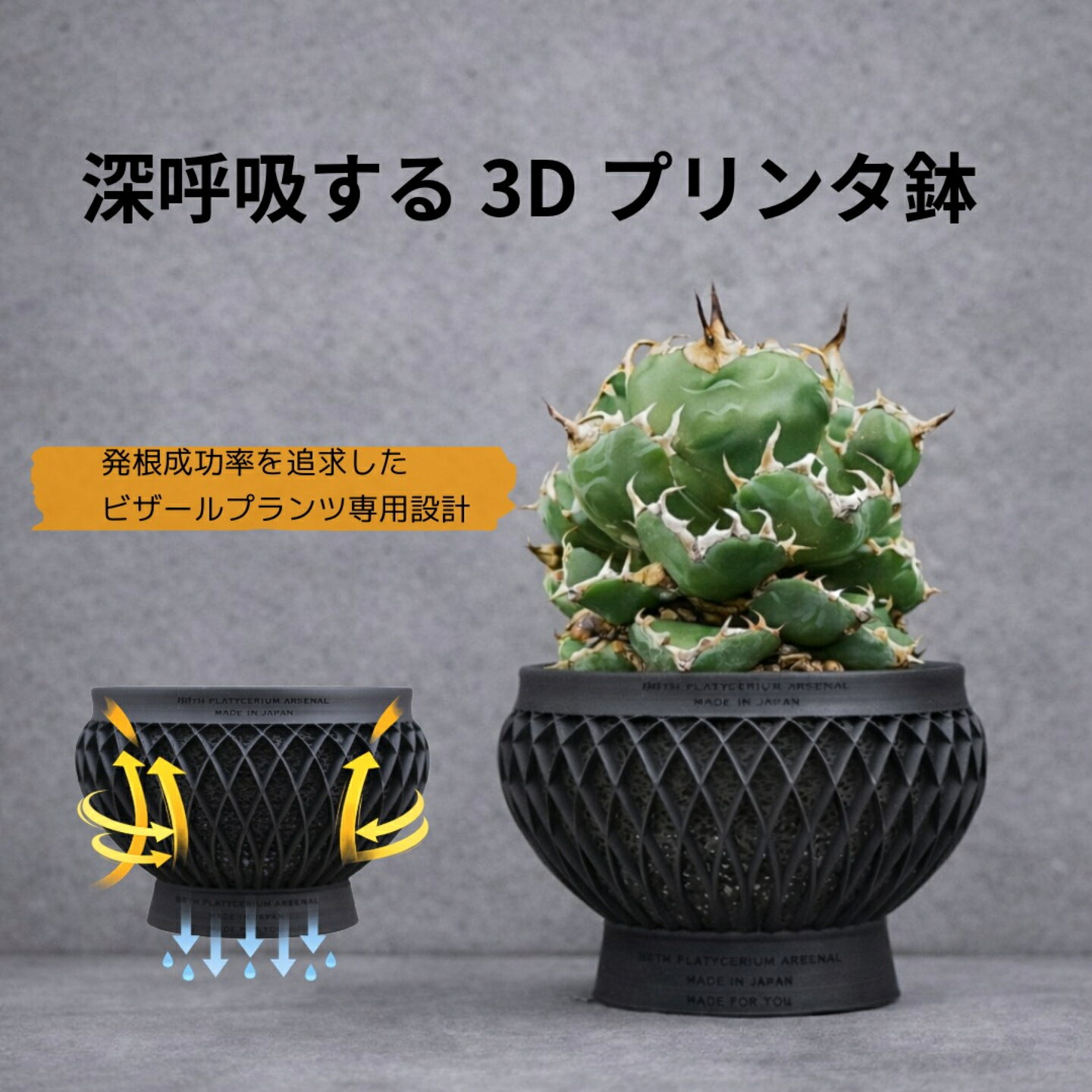 Rakuten - 八八工廠　手毬　アガベ 塊根植物 3Dプリント鉢 コーデックス 発根管理 通気性 排水性 ビザールプランツ パキポディウム 鉢 受け皿付き 筒　かっこいい　黒　ブラック