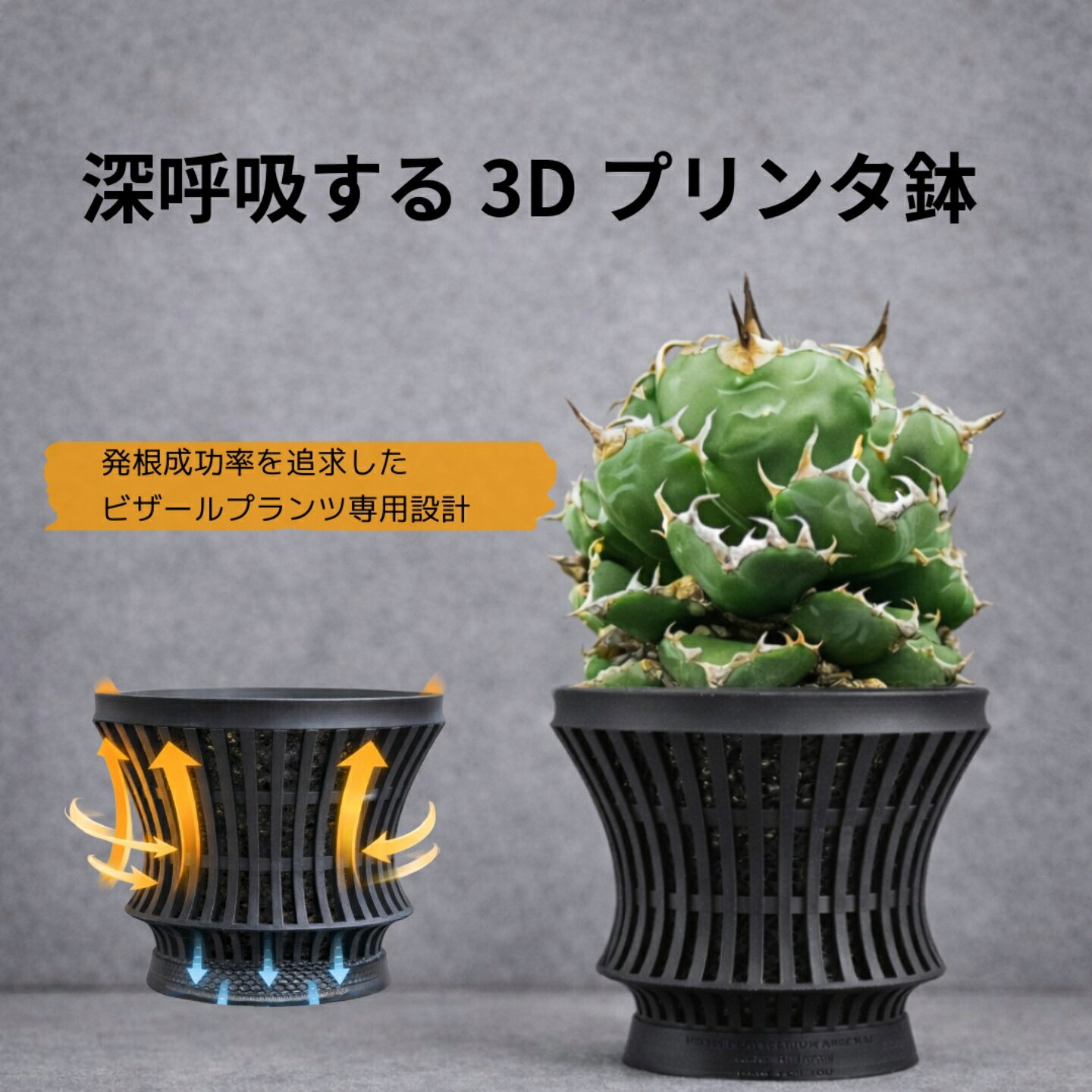 Rakuten - 八八工廠　筒　アガベ 塊根植物 3Dプリント鉢 コーデックス 発根管理 通気性 排水性 ビザールプランツ パキポディウム 鉢 受け皿付き 筒　かっこいい　黒　ブラック