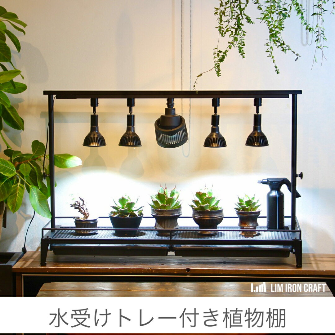水受けトレー付1段植物棚 植物棚 アガベ 塊根植物 観葉植物 アイアンシェルフ 幅900 奥行350 高さ100 育成ライト 室内管理　lim iron craft　アガベラック　棚　アイアン　シェルフ lim iron craft　スーパーセール