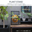 PLANT STAND ビカクシダ ビカクシダスタンド ビカクシ 板付 スタンド 卓上 エアープランツ プランツスタンド 網 引っかける 観葉植物 コンパクト ...