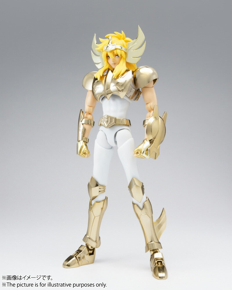 TAMASHII NATIONS限定 聖闘士聖衣神話EX キグナス氷河(新生青銅聖衣) ～GOLDEN LIMITED EDITION～