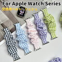 Apple Watch Series 10 46mm 交換バンド Apple Watch Series 10 42mm 交換用ベルト apple watch s...