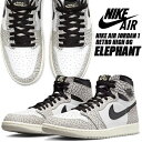 NIKE AIR JORDAN 1 RETRO HIGH OG tech grey/muslin-black-white dz5485-052 White Cement iCL GAW[_ 1 g nC I[W[ Gt@g Zg Xj[J[ AJ1