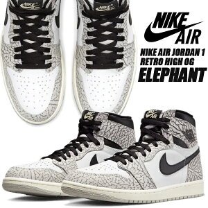 NIKE AIR JORDAN 1 RETRO HIGH OG tech grey/muslin-black-white dz5485-052 White Cement ʥ 硼 1 ȥ ϥ  ե  ˡ AJ1