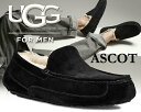 【アグ アスコット メンズ】UGG MENS ASCOT B...