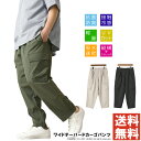 《ポイント10倍》涼しい ワイドパンツ カーゴパンツ メンズ 接触冷感 UVカット 吸水速乾 軽量 夏 ボトムス 抗菌防臭 UVカット 【RQ1349】 送料無料 通販A15