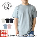 オーガニックコットン 半袖 Tシャツ メンズ 5.3オンス 無地 カットソー SLOTH サスティナブル SDG's 【ST1103】 送料無料 通販M15