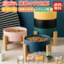 【9日20時〜ポイント3倍】【抜群の安定感】猫 餌入れ 食器 ウォーターボウル フードボウル 水飲み皿 水入れ エサ皿 えさ ネコ 陶器 食器台 餌皿 犬 ペット ペット用 フード 斜め 傾斜 角度 猫…