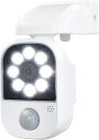 LED DAISHIN 充電式センサーライト アラーム機能付き DLC-2T100AR (4939736903223)
