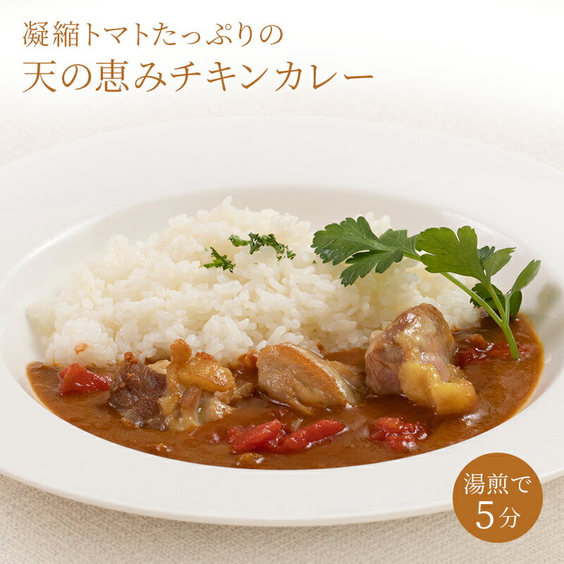 【初めてご購入の方限定!お得なお試しセット】選べるカレー6個セットカレーレストラントマトカレー食べ比べレトルトカレーチキンカレーグリーンカレースパイススパイスカレーまかないカレー6人前お祝い誕生日お取り寄せ