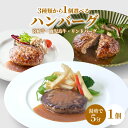 ハンバーグ 湯煎 ハンバーグ【冷凍】国産 和牛ハンバーグ 選べる 鹿児島牛 宮崎牛 黒毛和牛 ハンバーグ オニオンソース 湯せん 簡単調理 真空パック 食べ比べ 個包装【初めてご購入の方限定！選べるハンバーグ】お取り寄せ グルメ お歳暮 お中元 誕生日 ギフト 贈答品