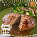 ハンバーグ 湯煎 【 冷凍 】5個 セット 国産 ひき肉 合挽 オニオンソース 湯せん チルド 温めるだけ 時短 惣菜 お惣菜 お取り寄せグルメ ギフト 詰め合...