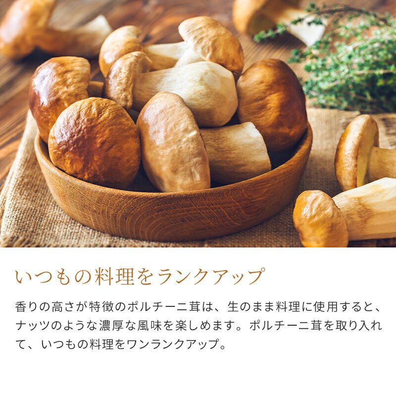 ���꡼��ѥ���������ۥ����� �ݥ������ ������ �ݥ�������� ���Τ� ���꡼�� ������ ����ѥ��� �ѥ��������� �����ꥢ���� �򤻤� ��û ��ñĴ�� �����ѥå� �����ꥢ�� ���ե� �����󤻥���� ��Ϸ���� ���ꥹ�ޥ� ������ £����