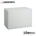 吸水スポンジ 25×40×3cm 10枚セット LINDSPORTS リンドスポーツ
