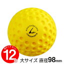 ディンプルボール 大 1ダース 12球入 野球 ソフトボール バッティング トレーニングボール 練習用 LINDSPORTS リンドスポーツ