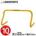 LINDSPORTS プラスチック製トレーニング用 22cm...