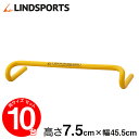 LINDSPORTS プラスチック製プチハードル(7.5cm...