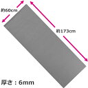 ヨガマット 厚さ6mm グレイ メッシュバッグ付 LINDS...