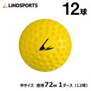 ディンプルボール 中 1ダース 12球入 野球 ソフトボール バッティング トレーニングボール 練習用 イエロー LINDSPORTS リンドスポーツ