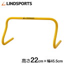 ハードル 22cm 10台セット ミニハードル 陸上 プラスチック製 トレーニング用 LINDSPORTS リンドスポーツ