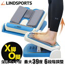 【楽天1位】stan ストレッチボード ふくらはぎ ストレッチ器具 o脚 x脚 足痩せ 足首 足つぼ 背中 体幹 むくみ アキレス腱 腰 ストレッチ 角度 健康 器具 グッズ リハビリ 立仕事 柔軟 疲れ 耐荷重120kg 6段階調整 室内 運動 自宅 筋トレ