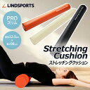 ストレッチングクッション PRO スリム 長さ98cm ストレッチ用ポール ヨガポール LINDSPORTS リンドスポーツ