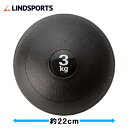砂入り やわらかメディシンボール 3kg トレーニングボール ウエイトボール LINDSPORTS リンドスポーツ