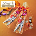 敬老の日 リンツ Lindt チョコレート リンドール&ショコラスティック アソート 5個入|ハロウィン チョコ ギフト プレゼント プチギフト 可愛い 洋菓子...