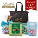 \話題の「ドバイスタイルチョコレート」入り/【リンツ 秋の福袋】オータムラッキーバッグ 2025 4,980円(送料込)