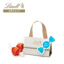 リンツ Lindt チョコレート プチギフトJust Married(水色)リンドール2個入10セット｜結婚　ウェディング パーティ リンツ チョコレート リンドール チョコ ギフト かわいい おしゃれ お菓子 個包装 輸入 お礼 産休 贈り物 スイーツ