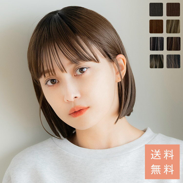 ウィッグ ストレート ショート ブラウン ブラウン系 耐熱 フルウィッグ wig y05s-12s(y05s-12s)