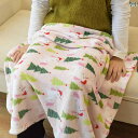 春夏 小さめ 薄手 ブランケット フランネル コーラル フリースブランケット オフィス 昼寝 昼休み 赤ちゃん 子供用 エアコン(3)
