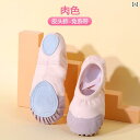 子供用 ダンス シューズ 女の子 レース フリー 大人用 ソフト ソール バレエ 中国 トレーニング 男の子 スペシャル.カラフルカラー