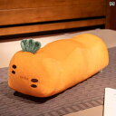 静脈瘤用 脚枕 足 妊婦用 パッド 背もたれ クッション 人工 下肢 サポート 健康 ベッドルーム 寝室 インテリア リビング(3)