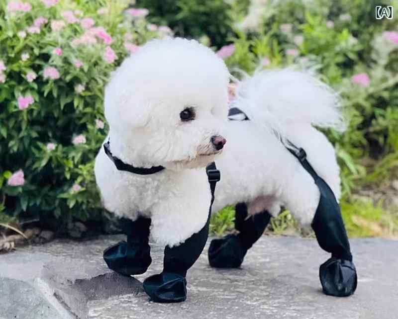 ɿ ѥ ­ С ȥɥ ɻ  ڥå   쥮 ɿ  ɥå ڥåȥ