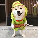 夏 面白 犬服 ペット 小型 中型 変身 コスチューム コスプレ かわいい グリーン 帽子セット おしゃれ ドッグウェア ポップ