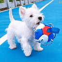 犬 おもちゃ ボール ペット 用品 フットボール ボーダーコリー フリスビー テディ 歯が 生えている 工芸品 噛みつきに 強い ゴールデンレトリバー