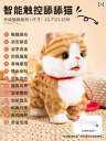 シミュレーション 猫 おもちゃ ぬいぐるみ 電気 ペット 歩くことが 歌う 子供の日 女の子 誕生日 プレゼント かわいい