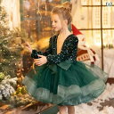 子供 ドレス ふわふわ 女の子 豪華 プリンセス ワイン レッド ピアノの発表会 ダンス ステージ衣装 フリル チュール お祝い