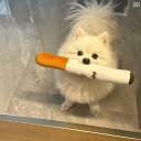 犬 タバコ ぬいぐるみ 音 退屈 和らげ 歯 研ぐ 噛みにくく 壊れません パピー ペット 用品 ストレス発散 カジュアル ビール