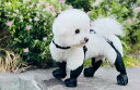 脱げにくい 冬 犬用 シューズ 小型 犬・ 中型 犬 レインブーツ 汚れ防止・ 防塵 パンツ 付き お出かけ用 お散歩 ハーネス(4)