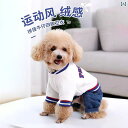 犬 服 テディ ビション 小型 子 シュナウザー 四 足 汚れ 防止 ペット セーター 猫.可愛い.カラフルカラーオシャレ