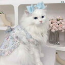 ペット Xiaoxin パジャマ 小型 コーギー 犬 ゴールデンレトリバー 服 テディ フレンチブルドッグ 子猫 秋冬.可愛い