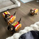 長 毛 ダックスフントの 服 楽しい ホットドッグ 面白 小型 犬 ペットの 猫 女装 年.可愛いカラフルカラー.オシャレ